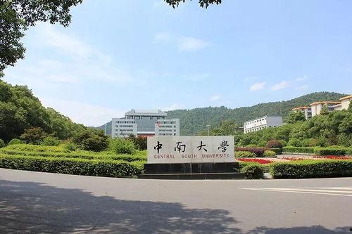 中南大学吃瓜  第2张